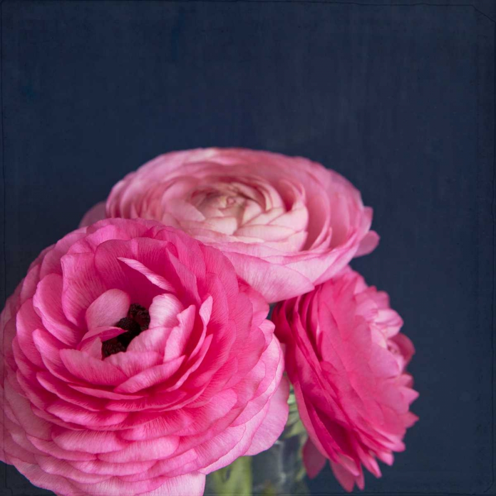 Enchanted Posies art print by Susannah Tucker Photography for $57.95 CAD