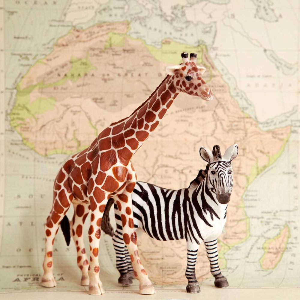 On Safari art print by Susannah Tucker Photography for $57.95 CAD