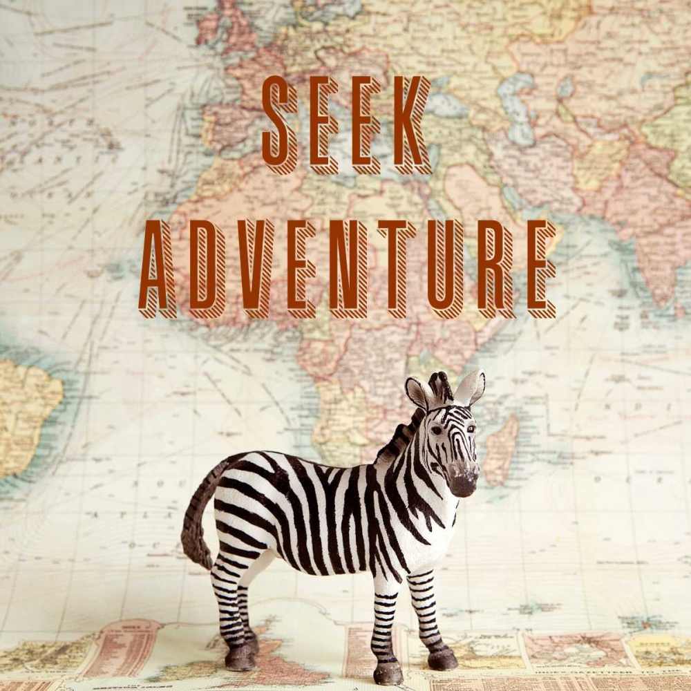 Seek Adventure art print by Susannah Tucker Photography for $57.95 CAD