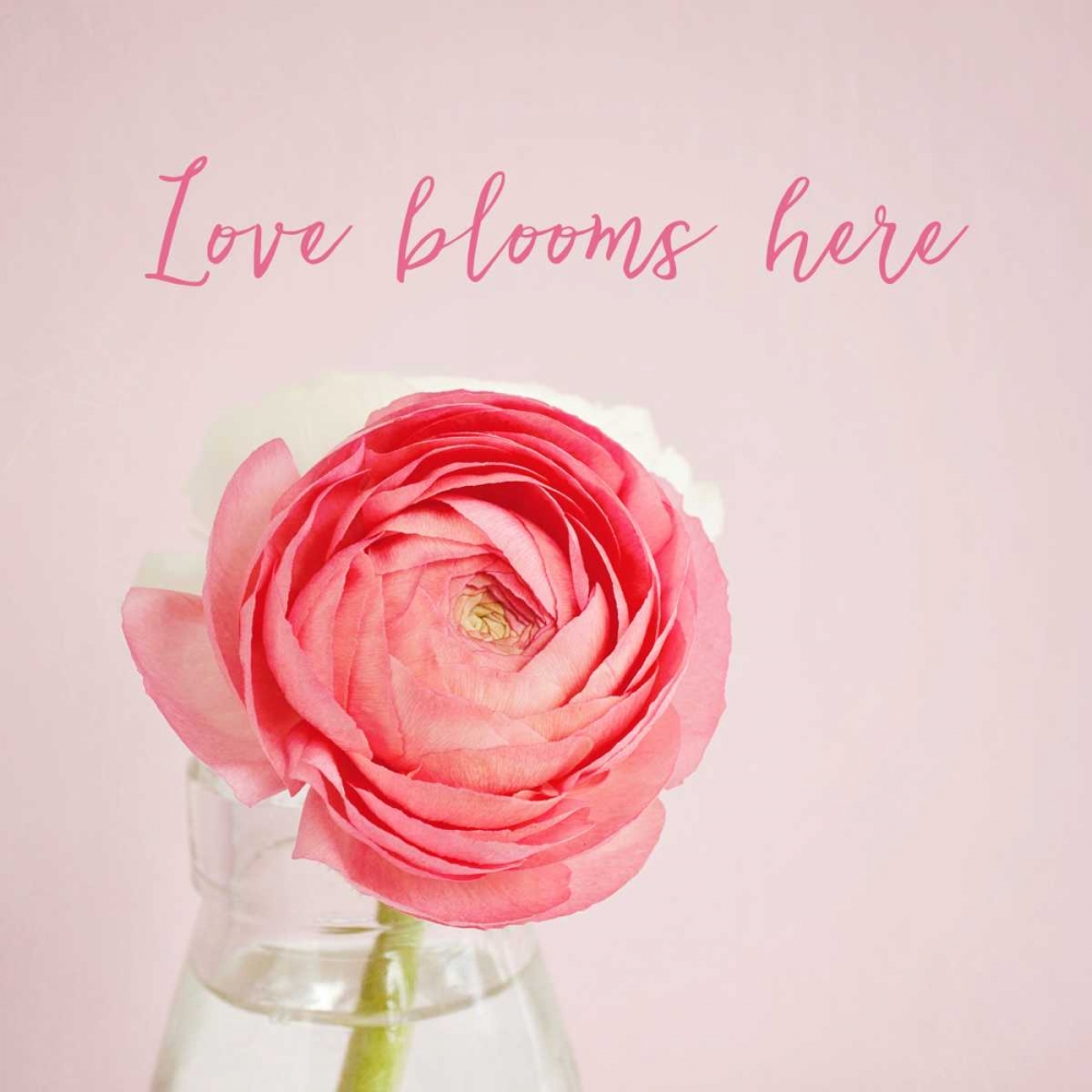 Love Blooms Here art print by Susannah Tucker Photography for $57.95 CAD