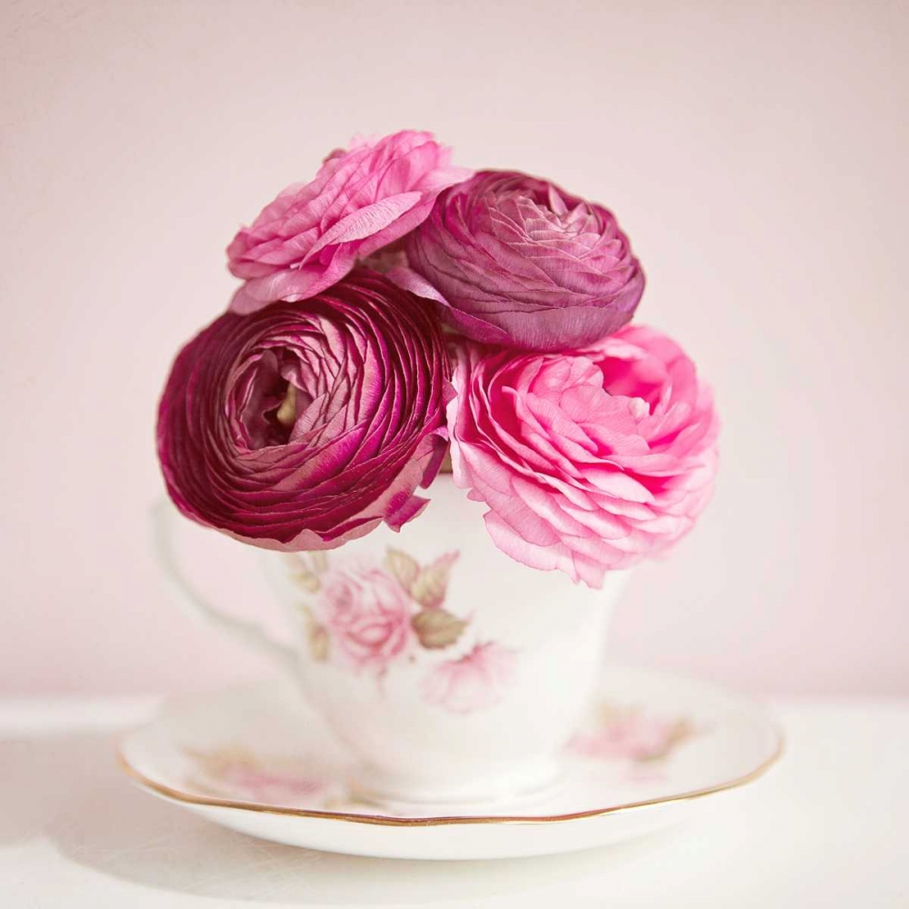 Tea Cup Posies art print by Susannah Tucker Photography for $57.95 CAD