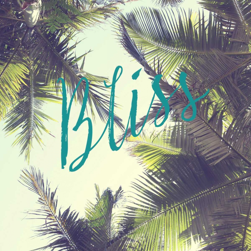 Bliss Palm Trees art print by Susannah Tucker Photography for $57.95 CAD