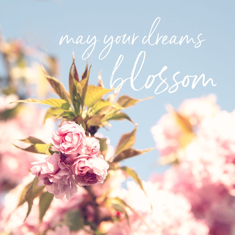 May Your Dreams Blossom art print by Susannah Tucker Photography for $57.95 CAD