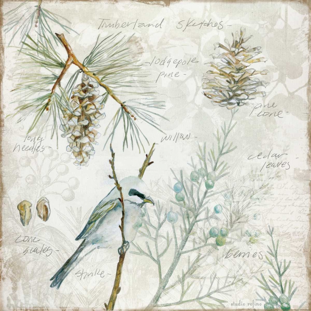 Outdoor Diary 1 art print by Studio Rofino for $57.95 CAD