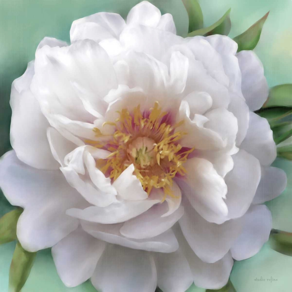 Floral Muse art print by Studio Rofino for $57.95 CAD