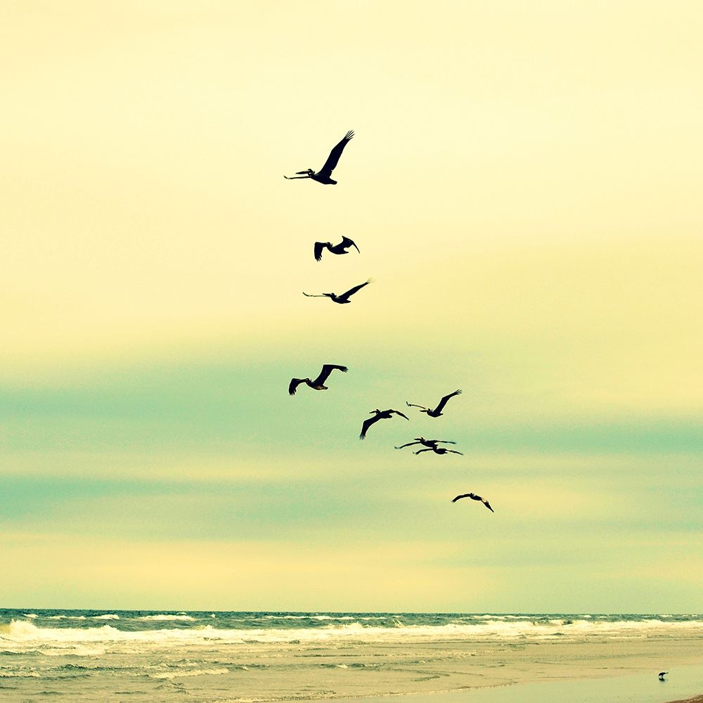 Ocean Flock art print by Robin Dickinson for $57.95 CAD