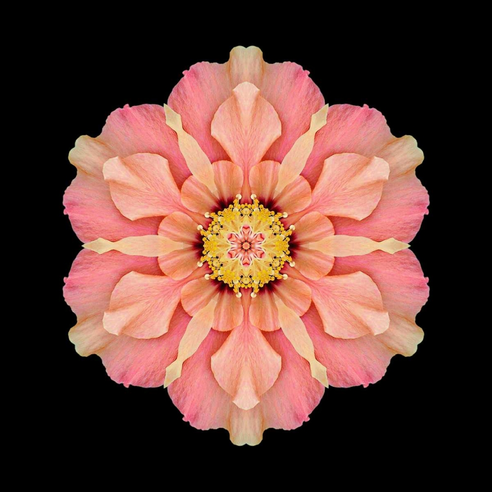 Kaleidoscope Hibiscus art print by David Bookbinder for $57.95 CAD
