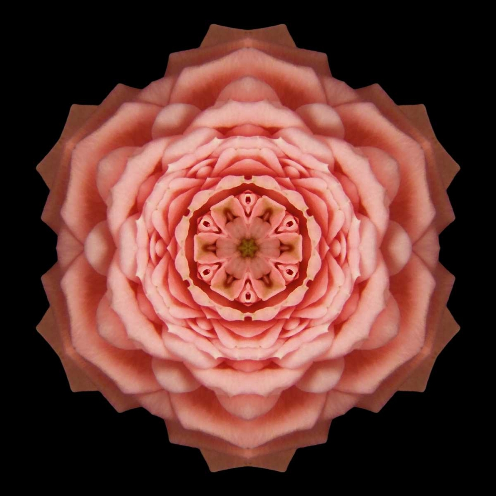 Kaleidoscope Rose art print by David Bookbinder for $57.95 CAD