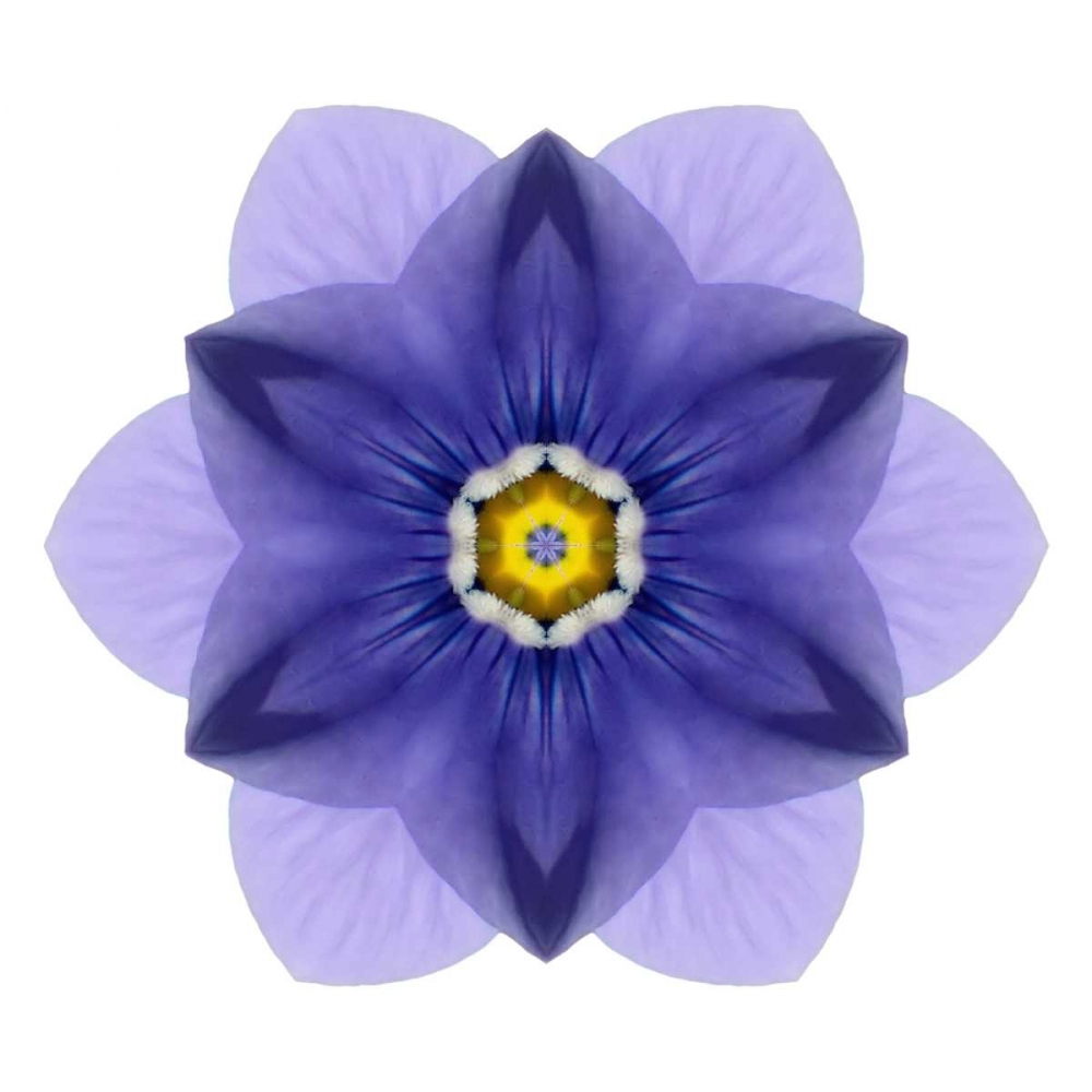 Kaleidoscope Blue Bell art print by David Bookbinder for $57.95 CAD