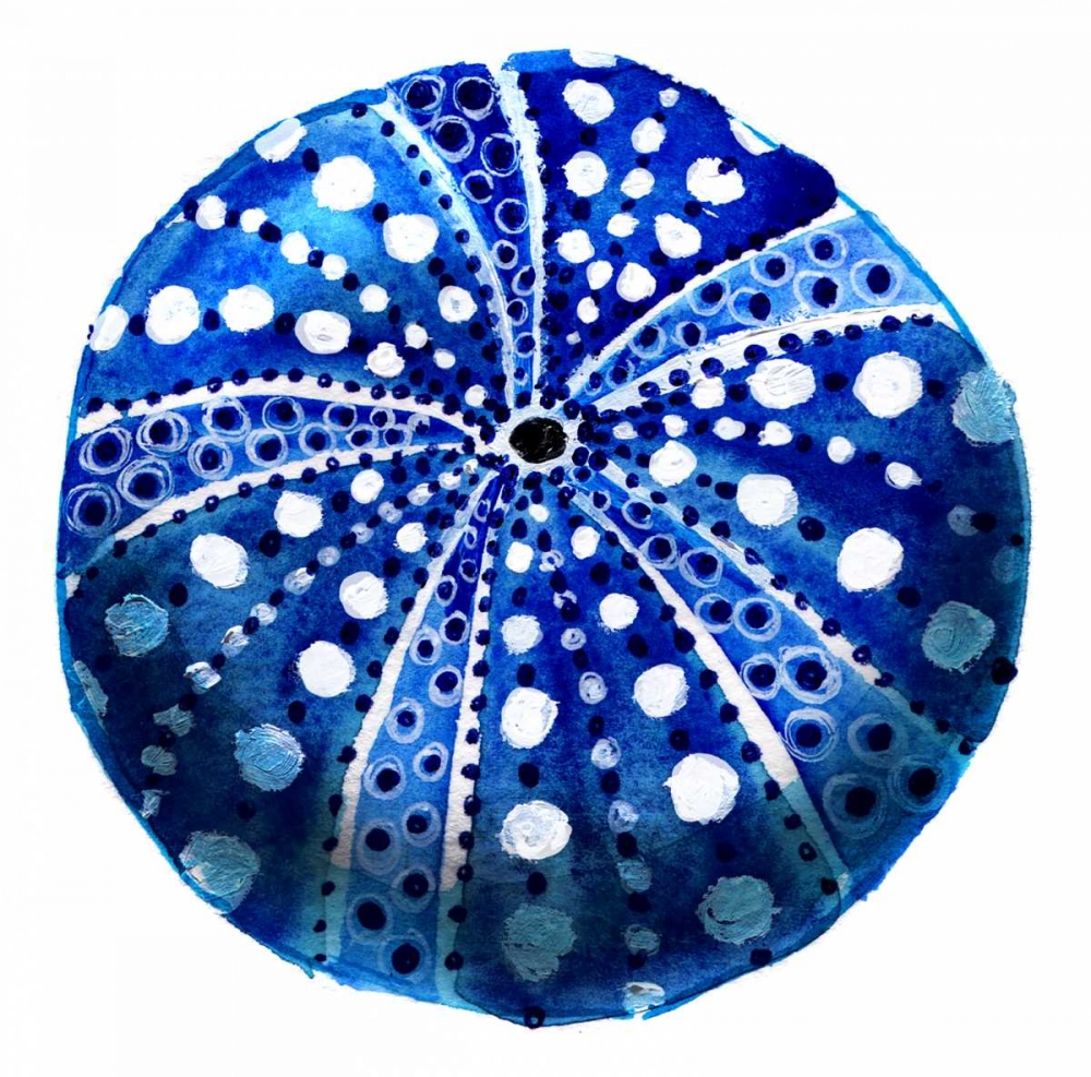 Tidal Pool Urchin art print by Crystal Smith for $57.95 CAD