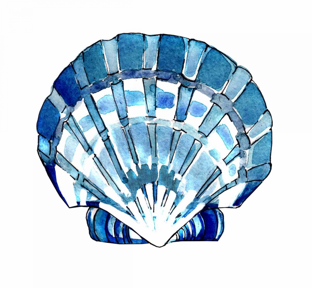 Tidal Pool Shell art print by Crystal Smith for $57.95 CAD