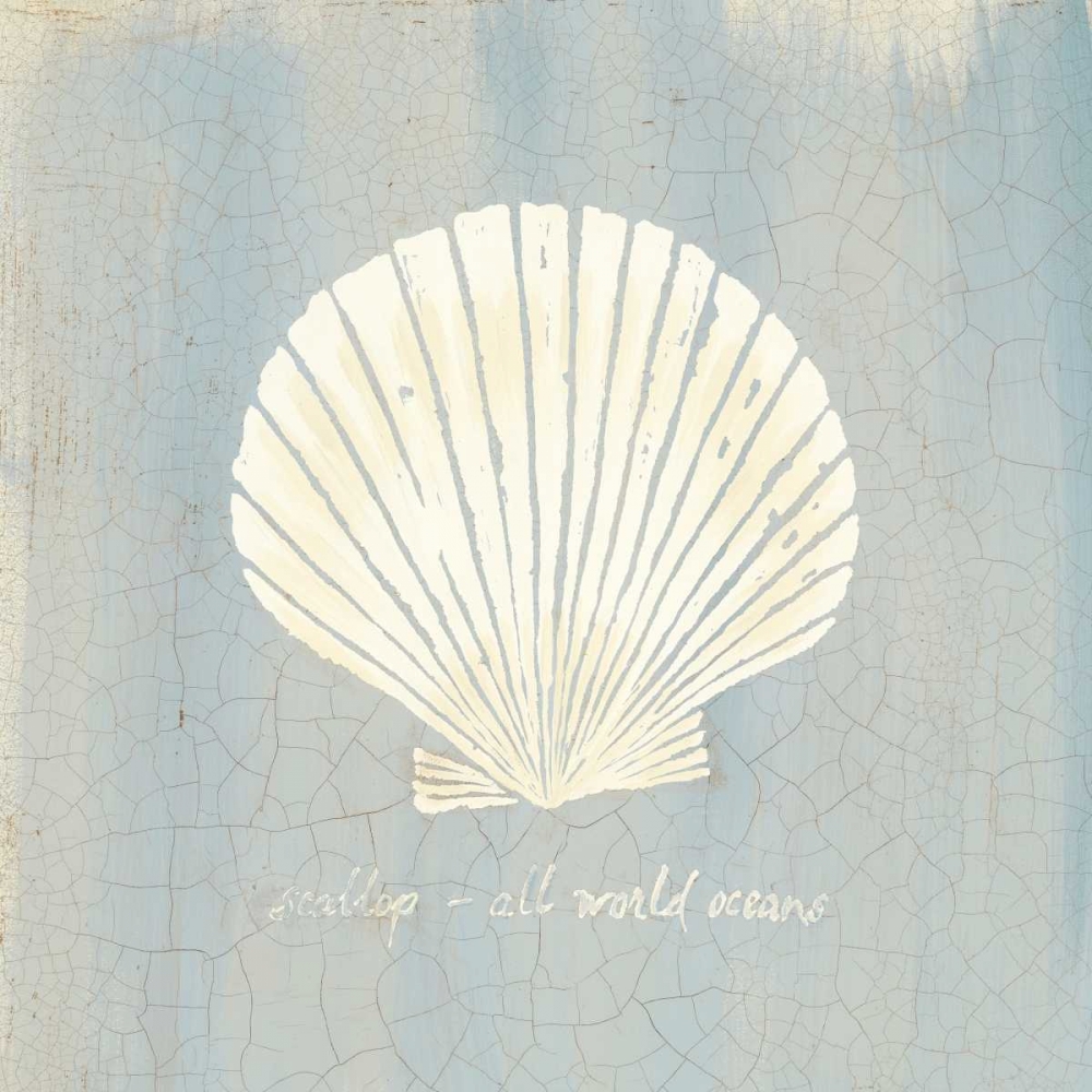Imperial Scallop art print by Z Studio for $57.95 CAD