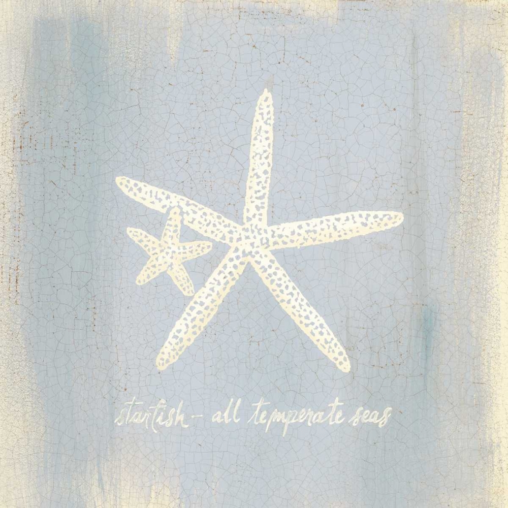Imperial Starfish art print by Z Studio for $57.95 CAD