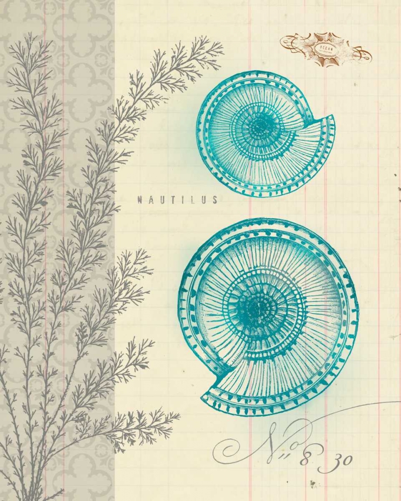 Sea Life 4 art print by Z Studio for $57.95 CAD
