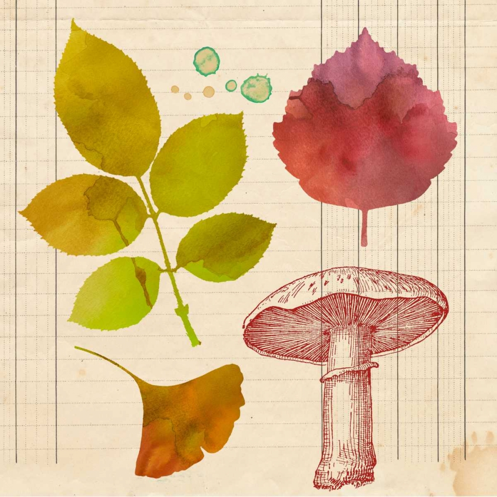 Archive Interpretations 2 art print by Z Studio for $57.95 CAD