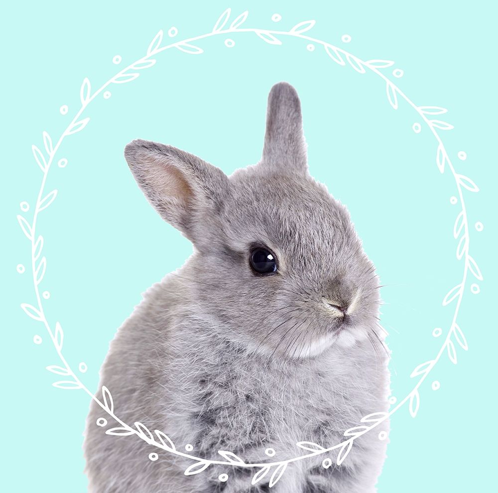 Bunny Dreams art print by Z Studio for $57.95 CAD