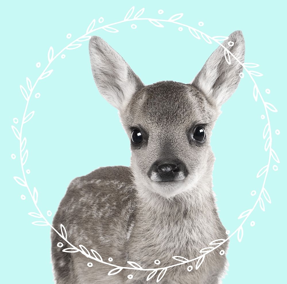 Fawn Dreams art print by Z Studio for $57.95 CAD