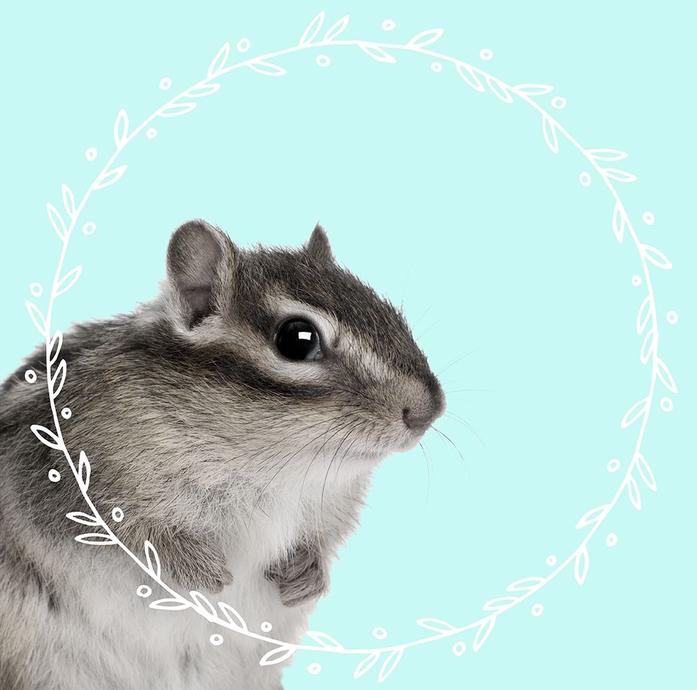Chipmonk Dreams art print by Z Studio for $57.95 CAD