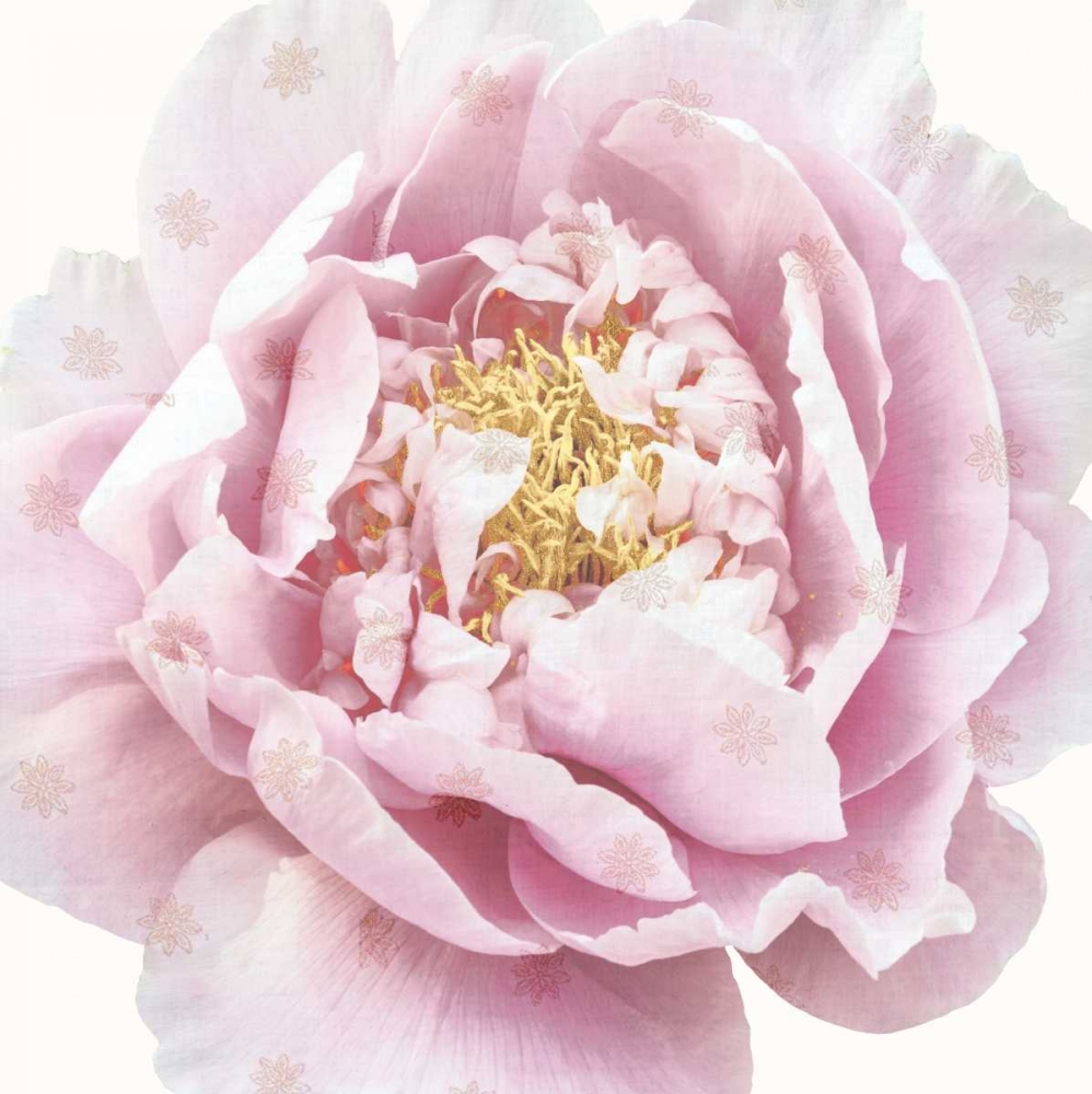 Whisper Floral art print by Bella Dos Santos for $57.95 CAD