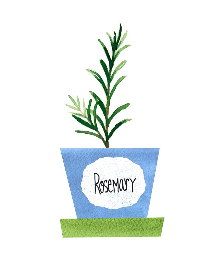 Rosemary Pot art print by Bella Dos Santos for $57.95 CAD