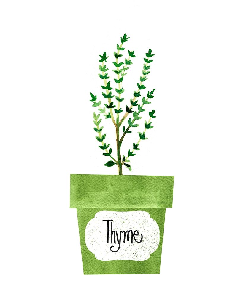 Thyme Pot art print by Bella Dos Santos for $57.95 CAD