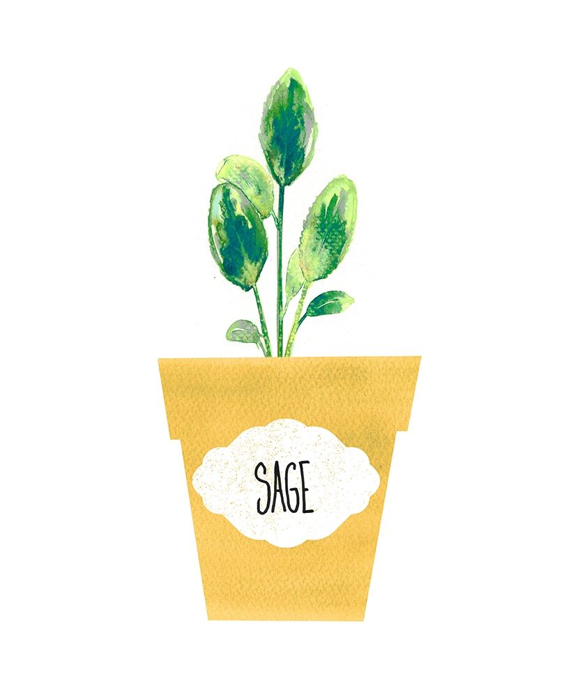 Sage Pot art print by Bella Dos Santos for $57.95 CAD
