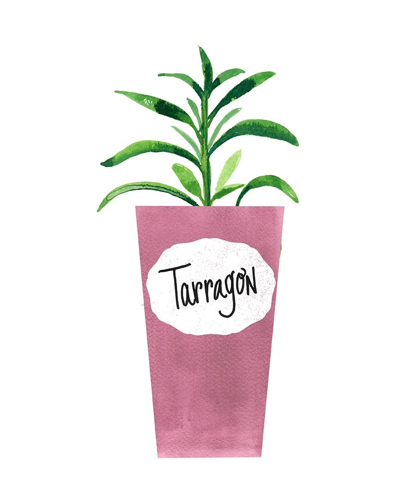 Tarragon Pot art print by Bella Dos Santos for $57.95 CAD