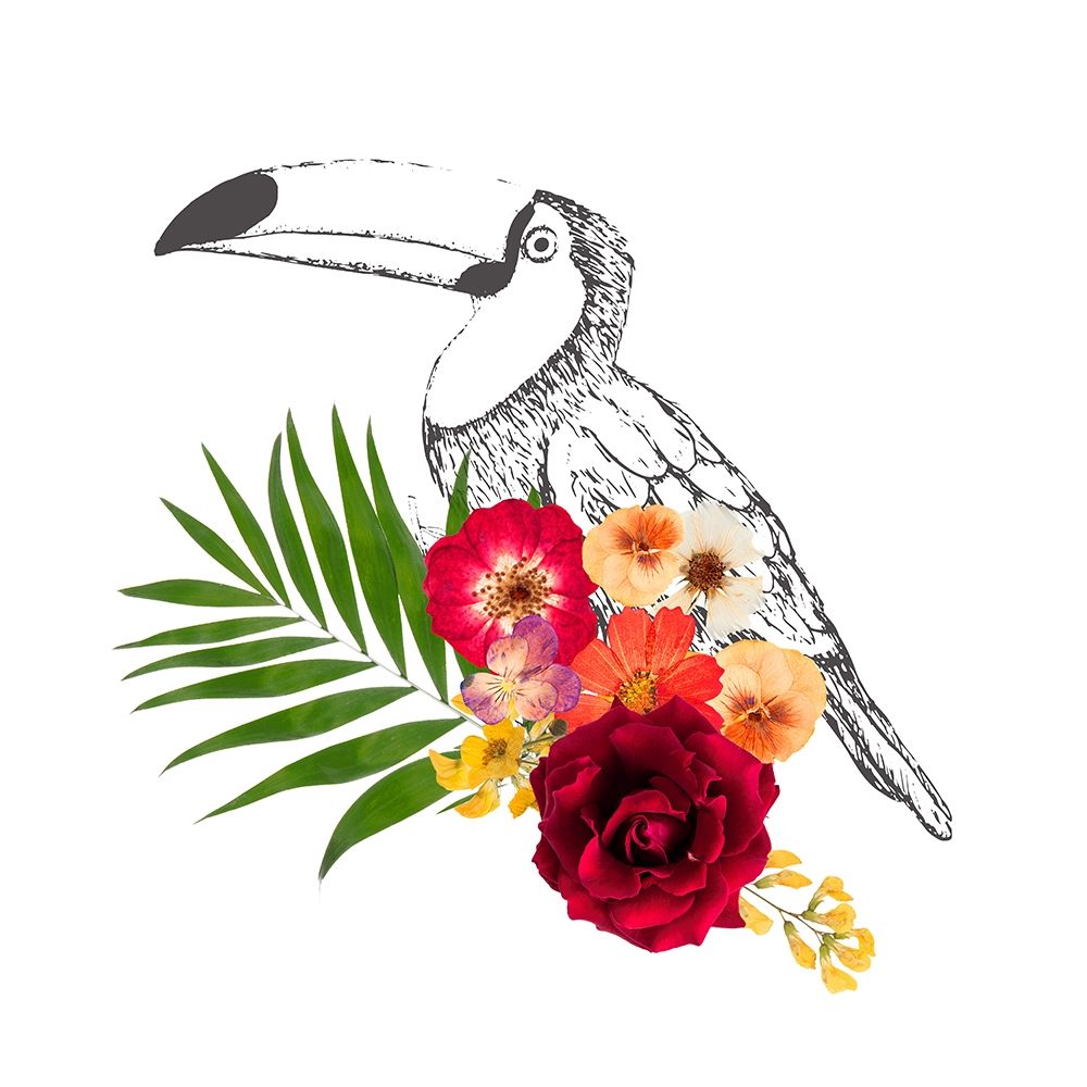 Floral Toucan art print by Bella Dos Santos for $57.95 CAD