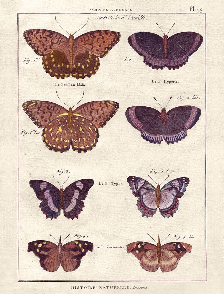 Histoire Naturelle 1 art print by Terrence Wesley for $57.95 CAD
