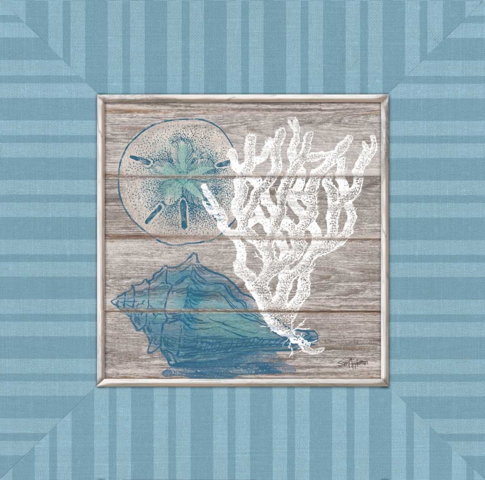 Coastal Wonders art print by Sam Appleman for $57.95 CAD