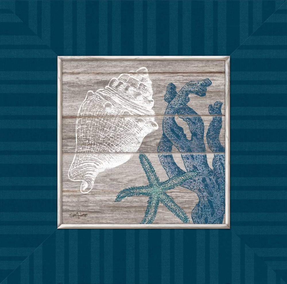 Coastal Treasures art print by Sam Appleman for $57.95 CAD