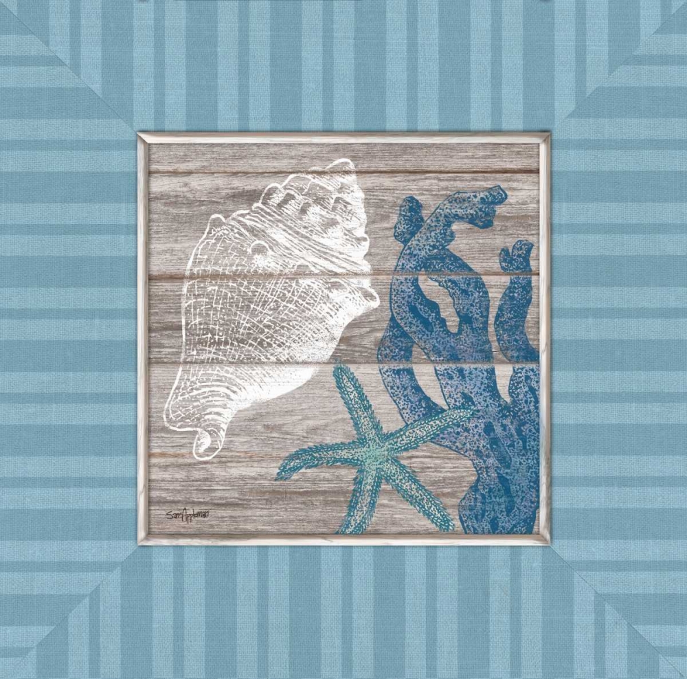 Coastal Treasures art print by Sam Appleman for $57.95 CAD