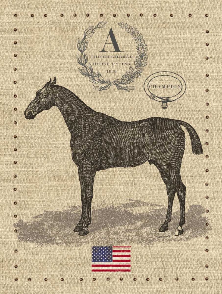 American Champion art print by Sam Appleman for $57.95 CAD