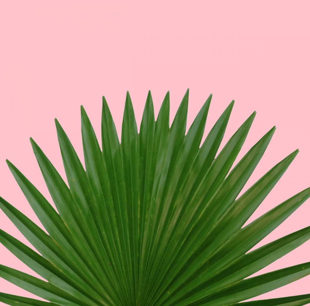 Miami Vibe 1 art print by Cameron Duprais for $57.95 CAD