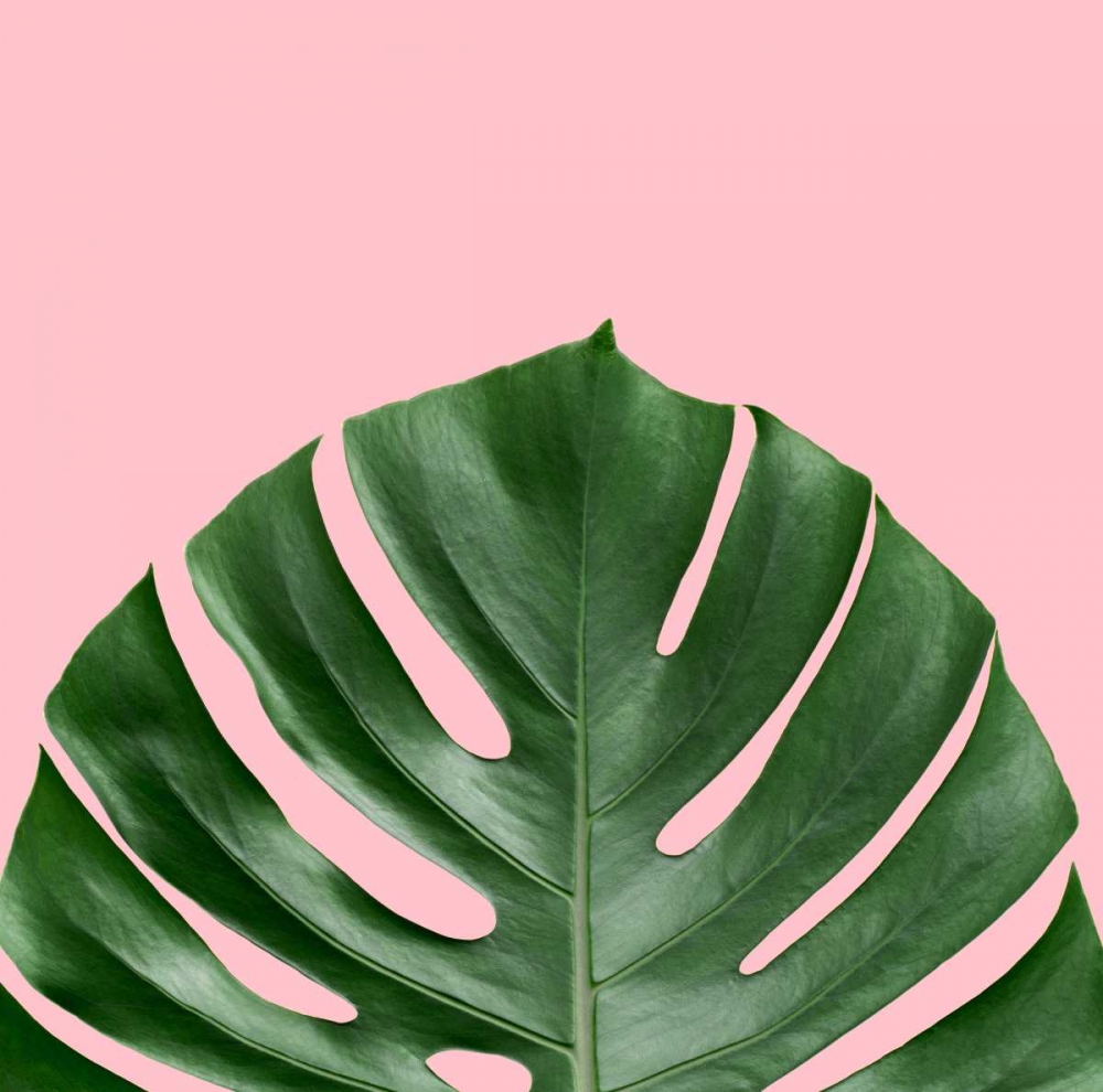 Miami Vibe 2 art print by Cameron Duprais for $57.95 CAD