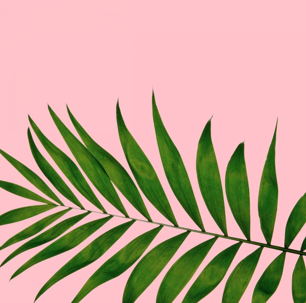 Miami Vibe 3 art print by Cameron Duprais for $57.95 CAD