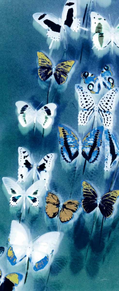Morccan Blue Butterflies 1 art print by Evangeline Taylor for $57.95 CAD