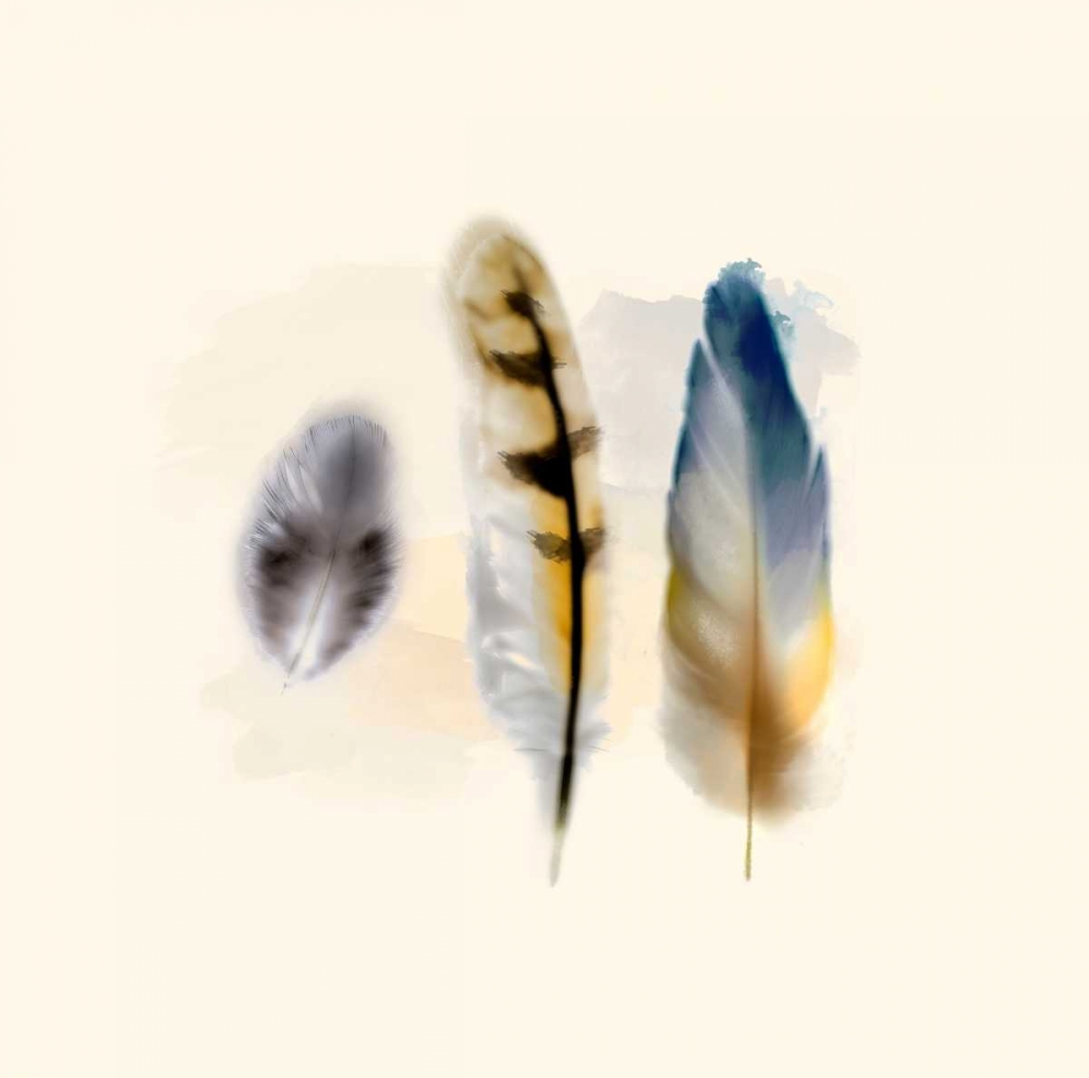 Three Feather Study 2 art print by Evangeline Taylor for $57.95 CAD