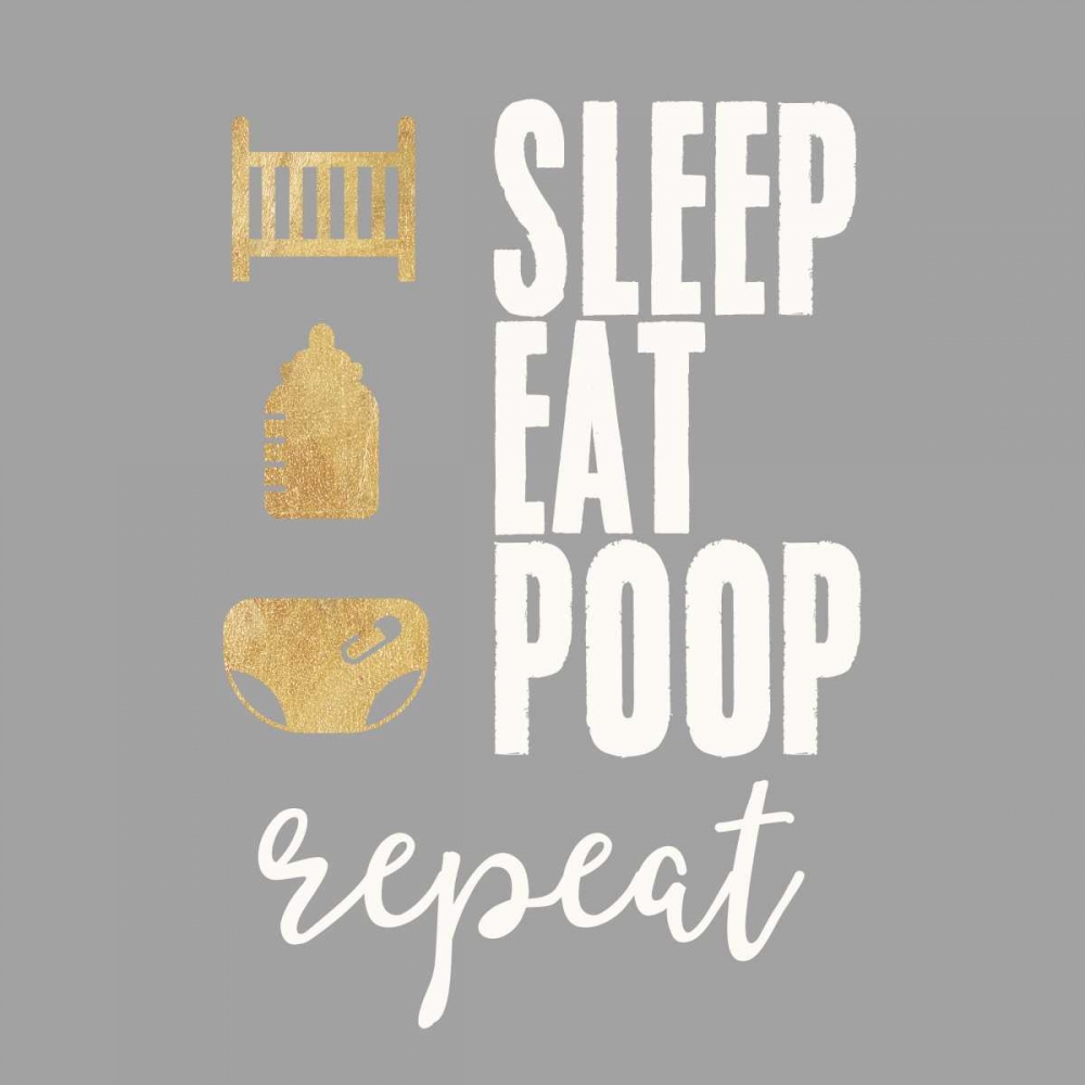 Sleep, Eat, Poop art print by Evangeline Taylor for $57.95 CAD