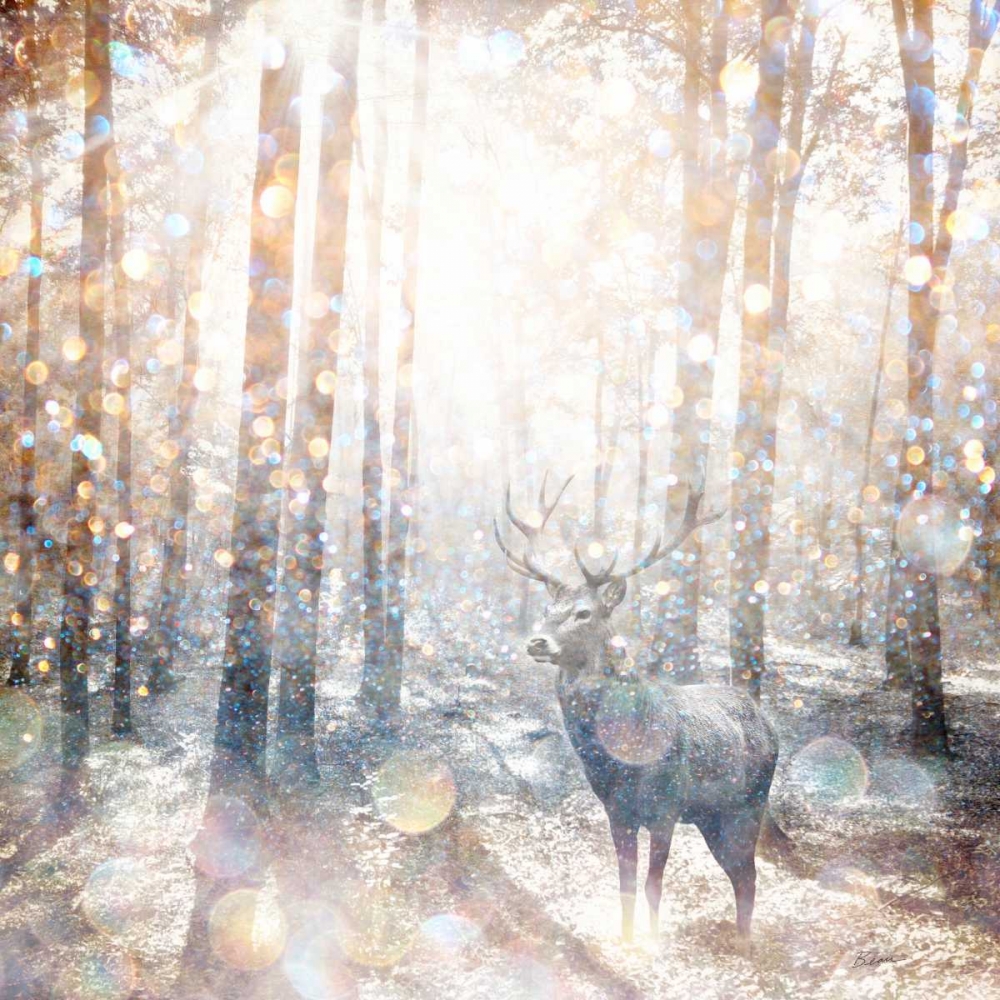 Mystical Forest 2 art print by Beau Jakobs for $57.95 CAD