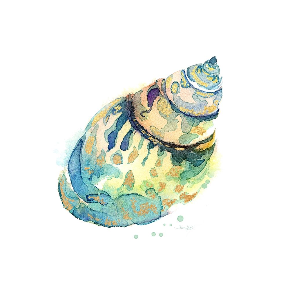 Sea Glass Shell art print by Jing Jin for $57.95 CAD