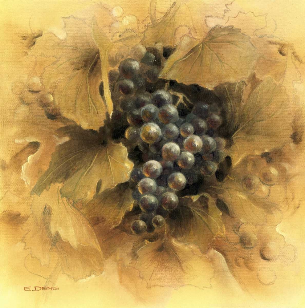 Grapes II art print by E Denis for $57.95 CAD