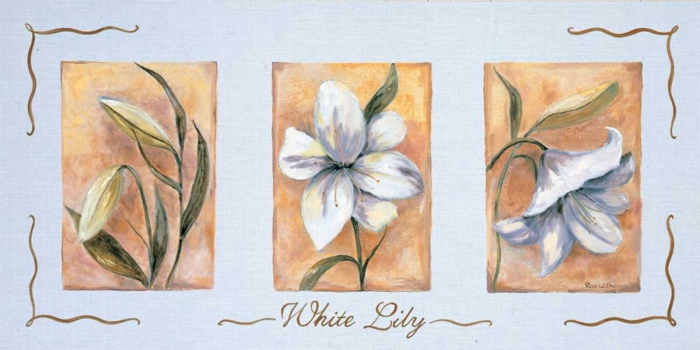 White lily Triptychon art print by Rian Withaar for $57.95 CAD