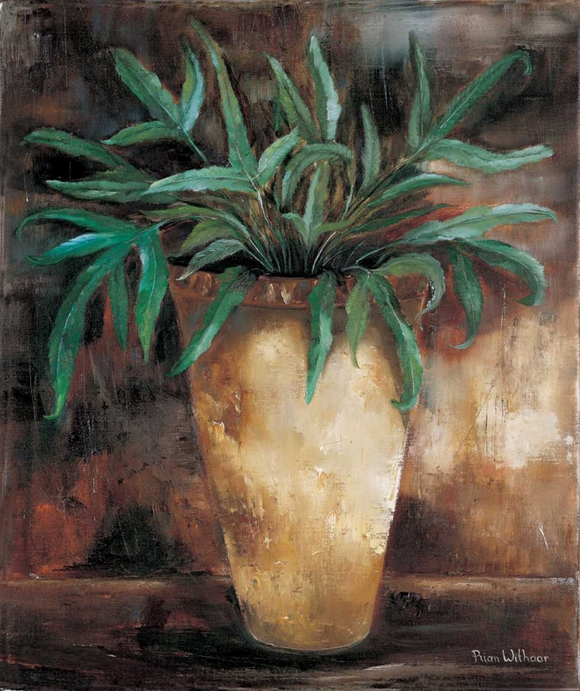 Fern Cretica art print by Rian Withaar for $57.95 CAD