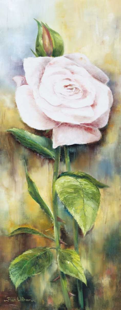 The rose II art print by Rian Withaar for $57.95 CAD