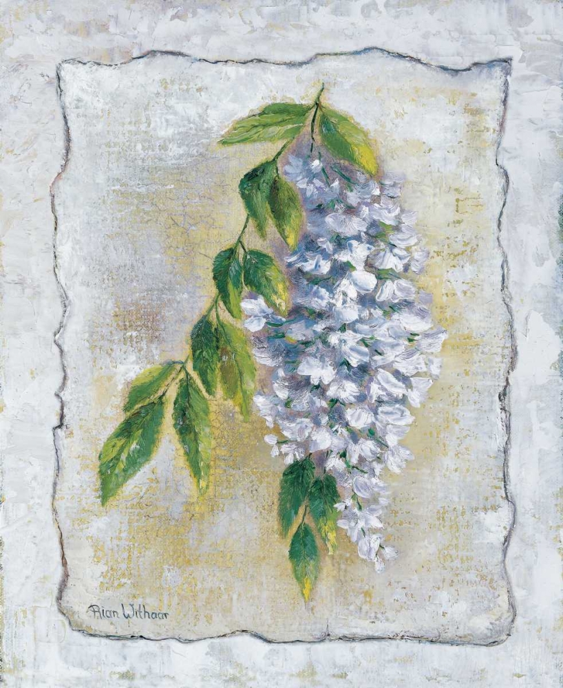 White Laburnum art print by Rian Withaar for $57.95 CAD