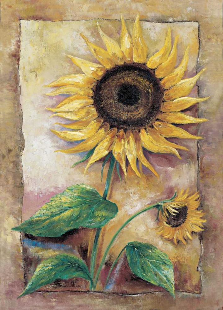 Beautiful sunflower art print by Rian Withaar for $57.95 CAD