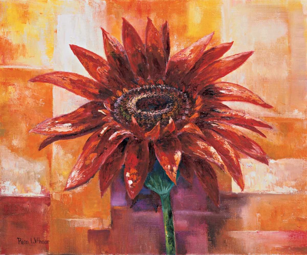 The eye of the flower art print by Rian Withaar for $57.95 CAD