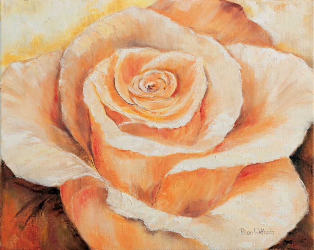 Rose in detail art print by Rian Withaar for $57.95 CAD