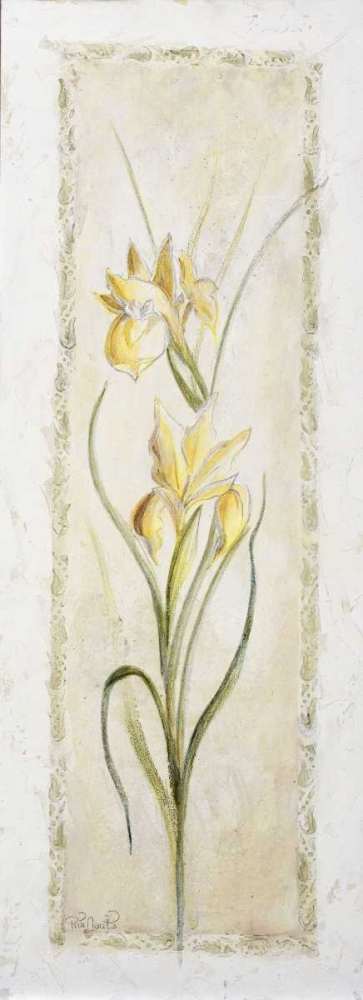 Garden delight-iris art print by Julia Bonet for $57.95 CAD